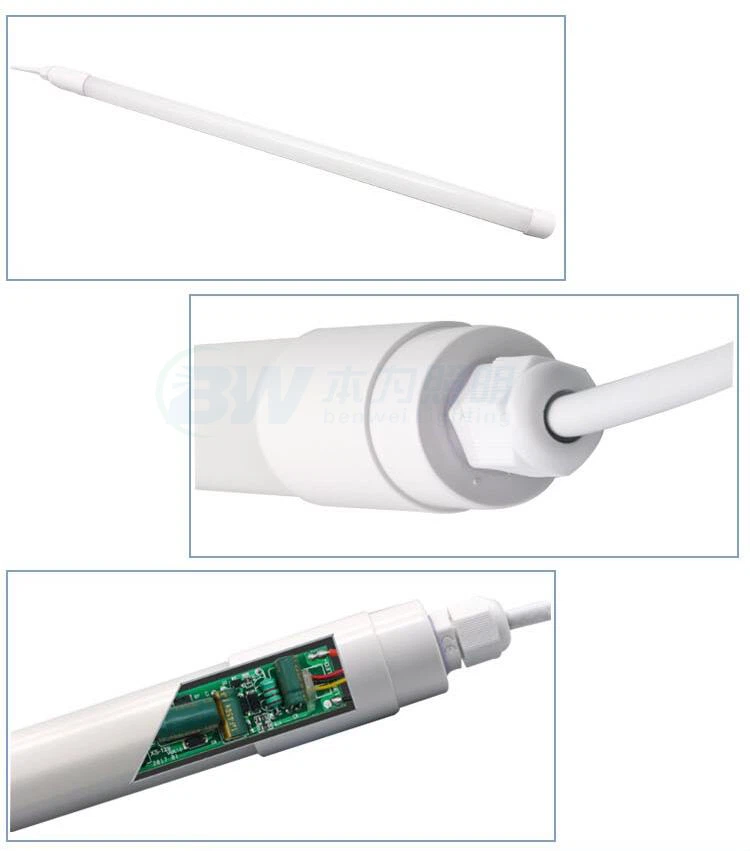 product-750-851 light in chicken coop at night