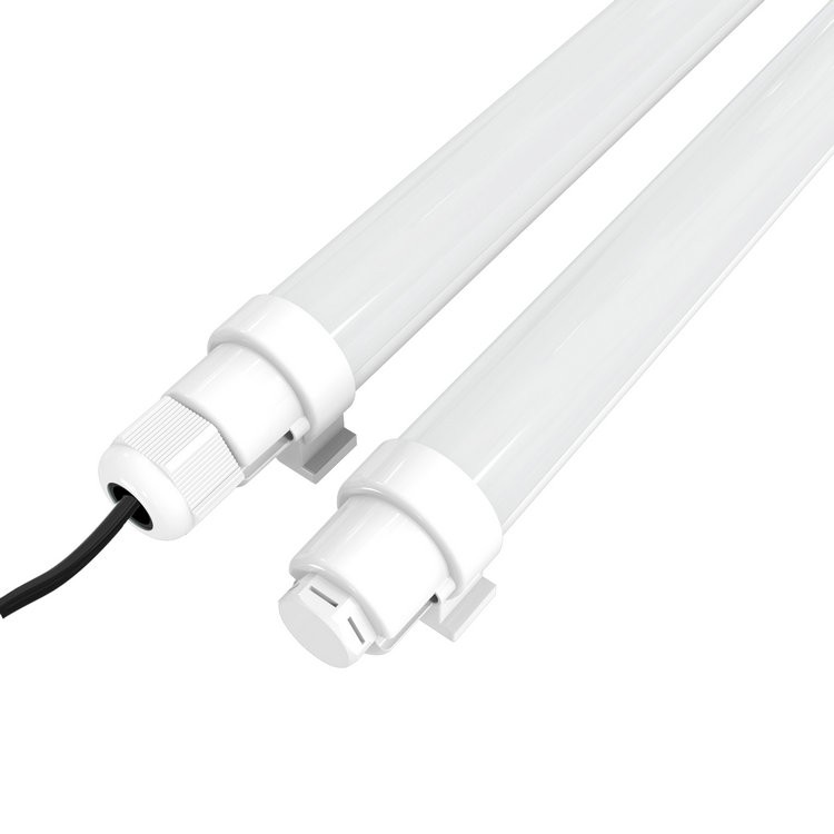 egg laying lights for chickens