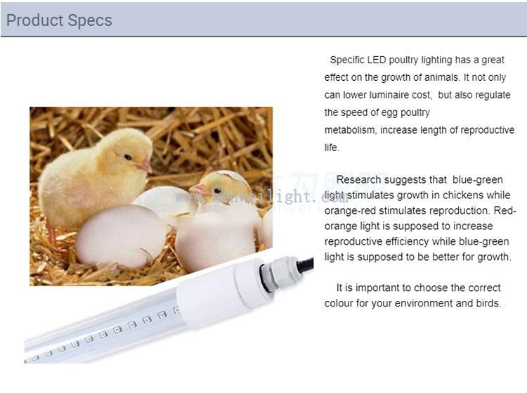 timed light for chicken coop -