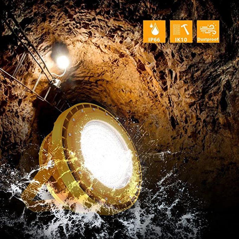 IP66 IK10 Explosion Proof Lighting-3 IP66 IK10 Explosion Proof Lighting-3