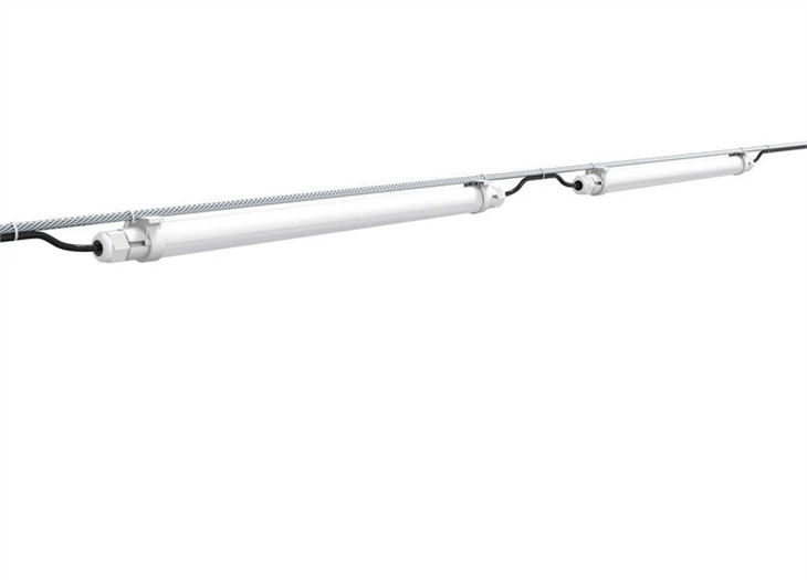 best light for chicken coop