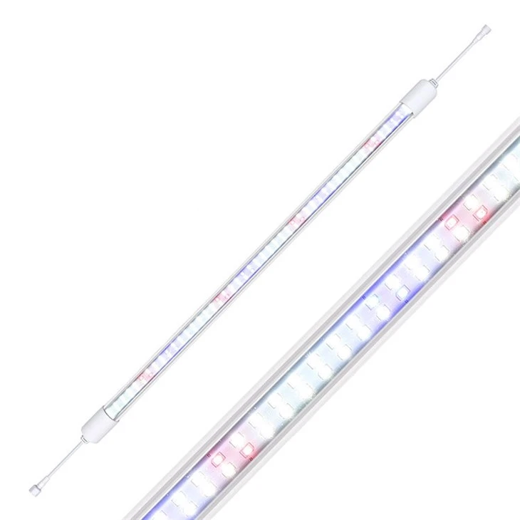 Full Spectrum Light Bulbs For Plant