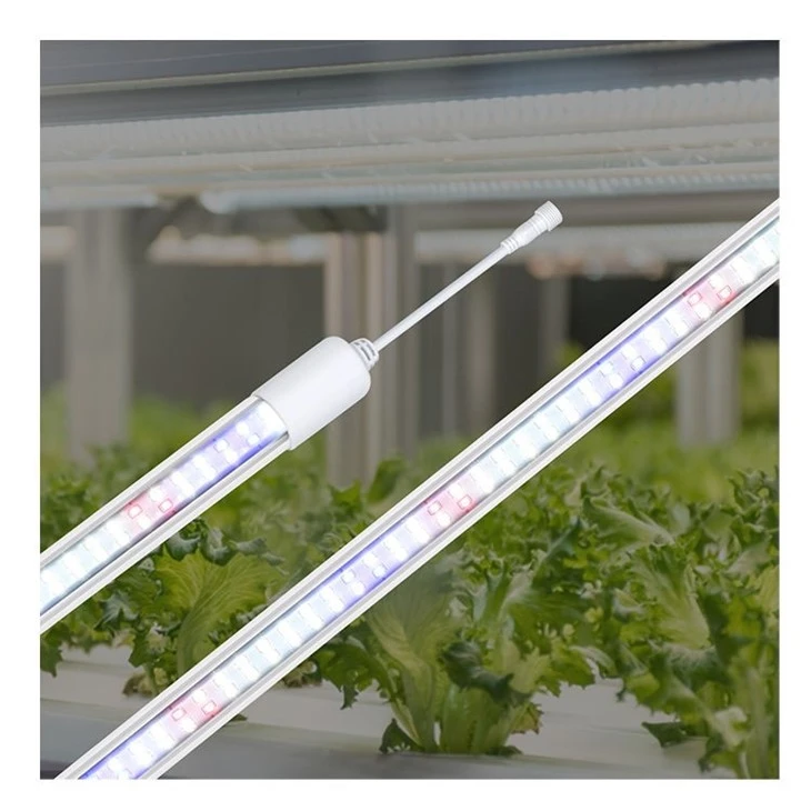 grow light light bulbs