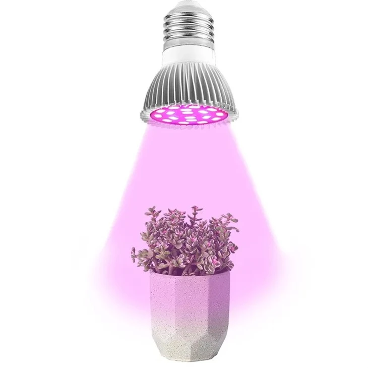 観葉植物の電球
