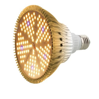 明るい黄色の電球