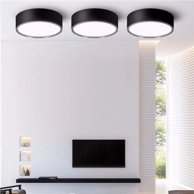 天井面実装型 LED ダウンライト