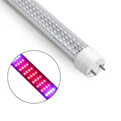 植物の球根を育てる