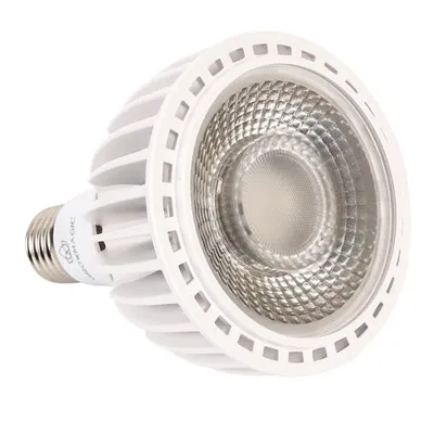 LED成長電球
