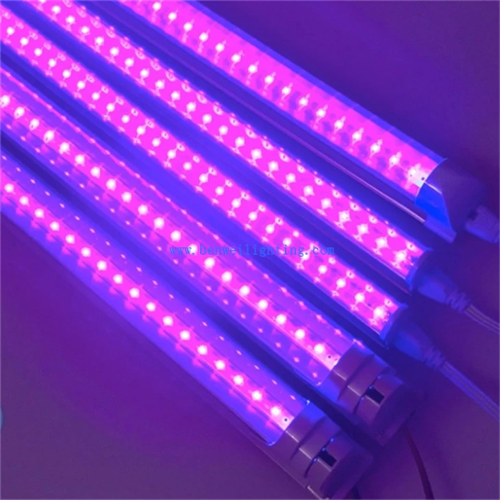 10W Ultraviolet Lamp (3)
