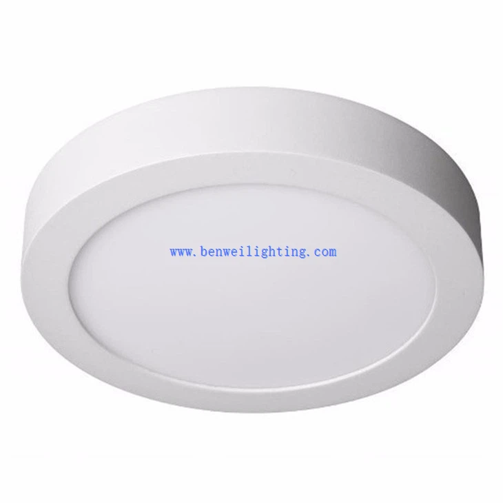 Circular flush mount light (4)