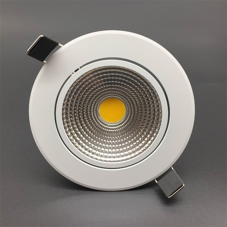 White Housing Downlight 3