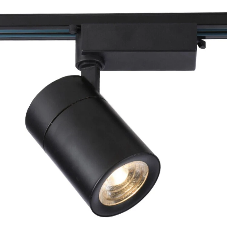 Focus Light