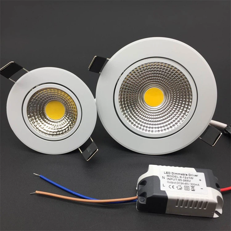 Meeting Room Downlight 4