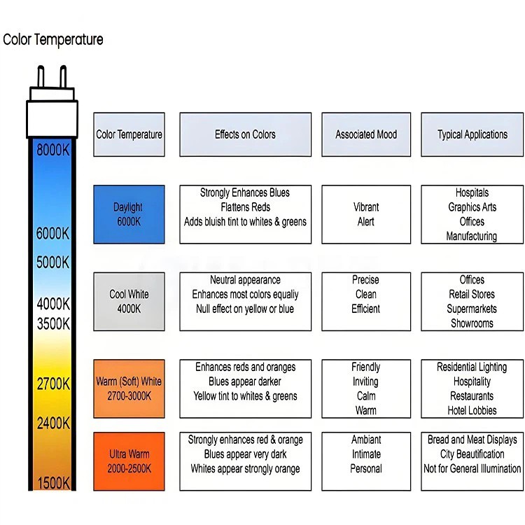 product-750-750 product-750-750
