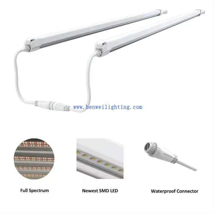 product-750-750 product-750-750