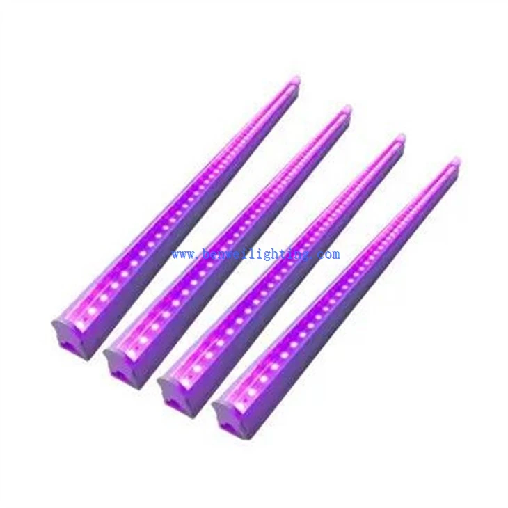 Purple UV Light (1)