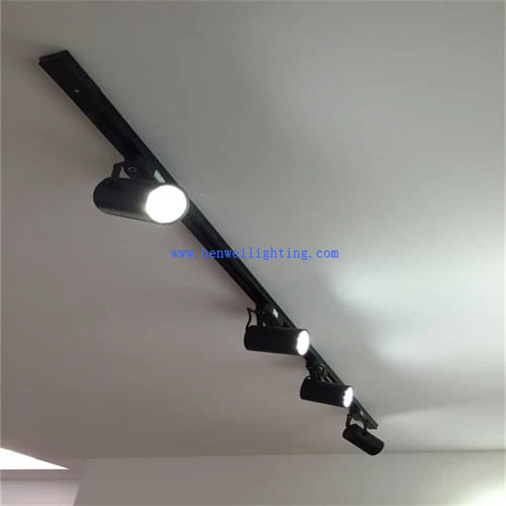 Restaurant  Track Light (3)