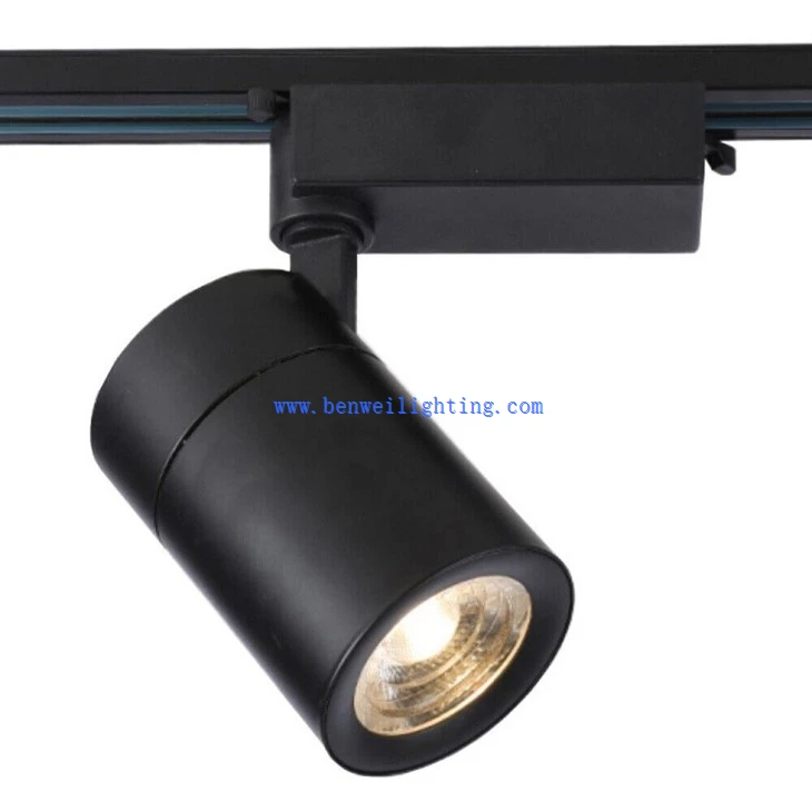 Restaurant  Track Light (1)