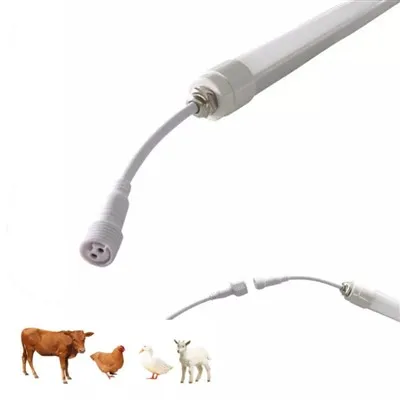 220V 家禽用 LED 照明