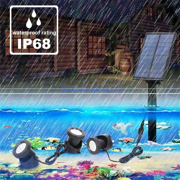 Solar Pond Light (2)